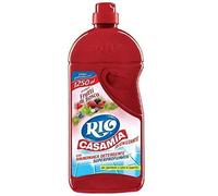 6 x Rio Casa mia Con Ammoniaca Pavimenti, Bacche selvatiche 1.250 ml
