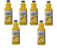 San Benedetto Succoso Ananas Fusion Pet 1500ml