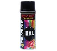 6 x Smalto 100% acrilico spray vernice bomboletta ECO SERVICE vari colori RAL