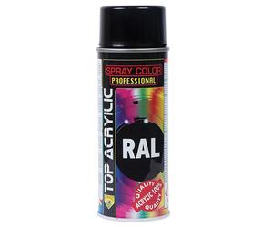 6 x Smalto 100% acrilico spray vernice bomboletta ECO SERVICE vari colori RAL