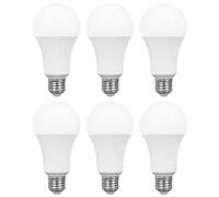 6 x Spectrum LED Lampadina Forma di Pera 18W=120W E27 Opaco 1800lm Bianco Caldo [EEK: F]