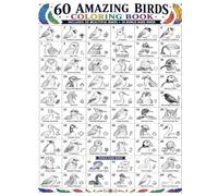 60 Amazing Birds Coloring Book