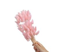 60 code di lepre naturali, fiori secchi da 50 cm, erba di pampasgrass essiccata per feste di nozze, decorazione della casa e vacanze