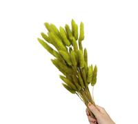60 code di lepre naturali, fiori secchi da 50 cm, erba di pampasgrass essiccata per feste di nozze, decorazione della casa e vacanze