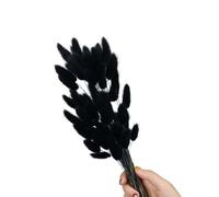 60 code di lepre secche, 59,9 cm, colore nero | 60 code di lepre secche, 59,9 cm, resistenti allo sbiadimento, per la decorazione della casa, fotografia, matrimoni