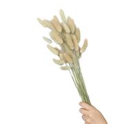 60 code di lepre secche, 59,9 cm, colore primario | 60 code di lepre secche, 59,9 cm, resistenti allo sbiadimento, per la decorazione della casa, fotografia, matrimoni