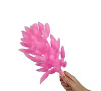 60 code di lepre secche, 59,9 cm, glitterate | 60 code di lepre secche, 59,9 cm, resistenti allo sbiadimento, per la decorazione della casa, fotografia, matrimoni