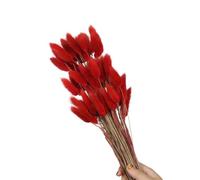 60 code di lepre secche, erba 59,9 cm, C | 60 code di lepre secche, 59,9 cm, resistenti allo sbiadimento, per la decorazione della casa, fotografia, matrimoni