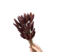 60 code di lepre secche, erba 59,9 cm, caffè | 60 code di lepre secche, 59,9 cm, resistenti allo sbiadimento, per la decorazione della casa, fotografia, matrimoni