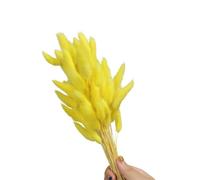 60 code di lepre secche, erba 59,9 cm, giallo | 60 code di lepre secche, 59,9 cm, resistenti allo sbiadimento, per la decorazione della casa, fotografia, matrimoni