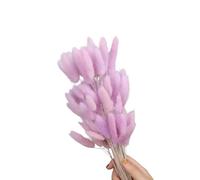 60 code di lepre secche, erba 59,9 cm, viola taro, D | 60 code di lepre secche, 59,9 cm, resistenti allo sbiadimento, per la decorazione della casa, fotografia, matrimoni