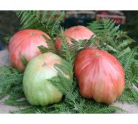 60 i semi di pomodoro di Belmonte - la spedizione gratuita