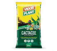 60 Litri di Terriccio per Cactacee e Piante Grasse - Substrato Drenante con Pomice Calibrata, Torba Irlandese e Concime NPK Pronto Effetto