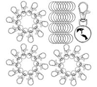 60 Pezzi Ganci Portachiavi, 30 Moschettone Portachiavi Girevole In Metallo e 30 Anelli per Portachiavi, Portachiavi con Moschettone Set Portachiavi per Artigianato Fai Da Te, Creazione Gioielli (25mm)