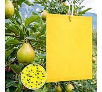 60 Pezzi Trappole Acchiappa Mosca Ciliegio, Trappole Adesive Biadesive | Mosche Dell'olivo Trappola per Olivo, Afidi, MosceriniFungini, e Mosche Bianche, Trappola Gialle Adesiva per Mosch