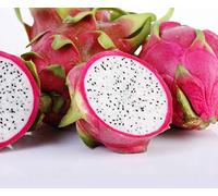 60 semi di frutta di draghi pitaya - giardino cactus -sewing reproducible wowing - semina