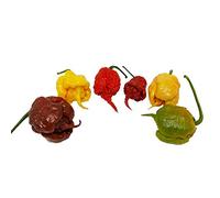60 SEMI DI PEPERONCINO CAROLINA REAPER RED CHOCOLATE YELLOW CARAMEL MUSTARD E PEACH WORLD RECORD COME PIU' PICCANTE AL MONDO