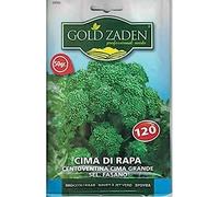 60: Semi professionale cime di rapa 40/60/90/120 50Gr Bag:Seeds