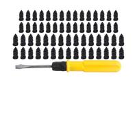60 viti di riparazione pneumatici in gomma con cacciavite, 2 misure, kit per auto, moto, camion e biciclette, colore nero, con scatola portaoggetti