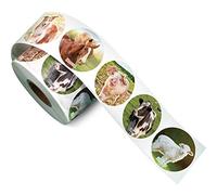 600 Eticehtte Adeisve di Animali Fattoria Realistici a Rotolo Decalcomania Adesivi a Tema Amici di Cortile Materiale Didattico per Bambini Ricompensa Bomboniera di asa, 1,5 Pollici