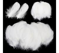 600 PCS Piuma Bianco, Naturali Piume d'oca, Piume Decorative per Artigianato artistico fai da te, Cacciatore di Sogni, Orecchini, Cappelli, Carnevale Festa matrimoni Decorazione, Crafts DIY Feather