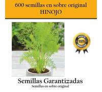 600 Semi Di Finocchio Su Piante Aromatiche Originali SCL