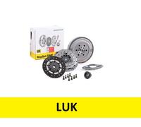 Kit frizione LuK RepSet DMF LUK 600 0234 00