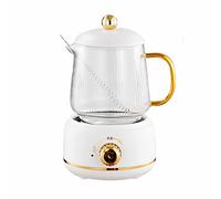 600ML H Bollitore in vetro multifunzionale Teiera elettrica Dispenser di acqua calda for fiori Stufato elettrico automatico Pentola for nido d'uccello Acciaio inossidabile(White)