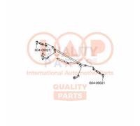 604-09021 IAP QUALITY PARTS Testa barra d'accoppiamento