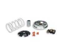 Variatore Multivar Malossi Honda Vision 50 4T IE 5115209 Per Moto Ricambi