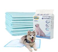 60x60cm 100PEZZI TAPPETINI IGIENICI PER CANI TAPPETINI ASSORBENTI CON ANTIODORE