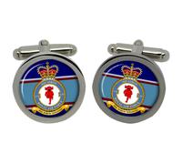61 Squadron, Raf Gemelli IN Scatola