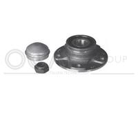 6110103 OCAP Kit cuscinetto ruota per ALFA ROMEO
