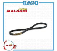 6116889S CINGHIA X SPECIAL BELT MALAGUTI CIAK MASTER 50 4T euro 2