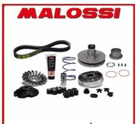 6118835 GRUPPO TRASMISSIONE OVER RANGE MALOSSI PIAGGIO NRG Power DD50 2T STALKER