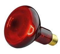 61451 LAMPADA RICAMBIO 100W PER IL11 --