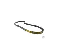 MALOSSI 617227 CINGHIA TRASMISSIONE X SPECIAL BELT PIAGGIO CIAO PX 50 VARIATORE