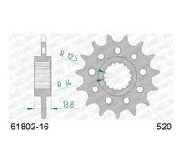 6180216 - Pignone Afam Aprilia RSV4, Tuono V4 R, catena 520, denti 16