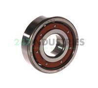 Cuscinetto radiale rigido a sfere 6304 -TB-P6-C3 20x52x15