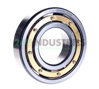 6313-C-M FAG 65 x 140 x 33 mm DEEP GR. BALL SINGLE ROW