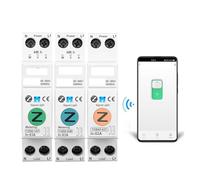 63A 1P+N Smart Switch Meter Kwh Metering Monitoring Circuit Breaker Timer Relay MCB BIANMTSW(TOB9Z-T No Metering,50A)