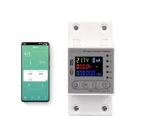 63A 80A Smart Meter Kwh Metering Circuit Breaker Timer with voltage current and leakage protection MQXFCZUX(80A)