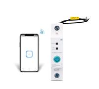 63A Din Rail Circuit Breaker Smart Switch Remote Control by Ewelink for Smart Home 18mm 63A without metering function NWPNLXEA