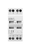 63A Dual Power Trasferimento Manuale, Interruttore Modulare Interlock Circuit Breaker AC Isotator 1P 2P 3P 4P (1P)