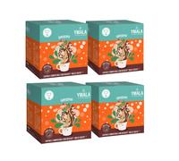 64 Capsule Ymala compatibili con Dolce Gusto - Ginseng