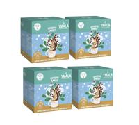 64 Capsule Ymala Compatibili Dolce Gusto - Ginseng Amaro