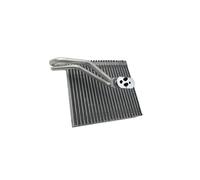 64119262788 64113422669 Nucleo evaporatore aria condizionata, compatibile con BMW, sistema A/C MINI R56(64113422669)
