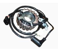 642054 STATORE COMPLETO ORIGINALE PIAGGIO MP3 300 LT BUSINESS - SPORT ABS 2014 -