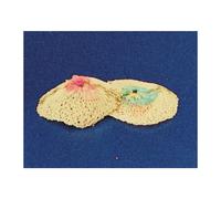 64393 Q.TA' 5 SC RETINA RICAMBIO LAMPADA A GAS 2