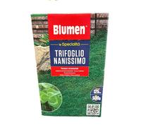 65080 BLUMEN SEMI DI PRATO TRIFOGLIO NANO COMPOSTO DA TRIFOLIUM REPENS GR. 500